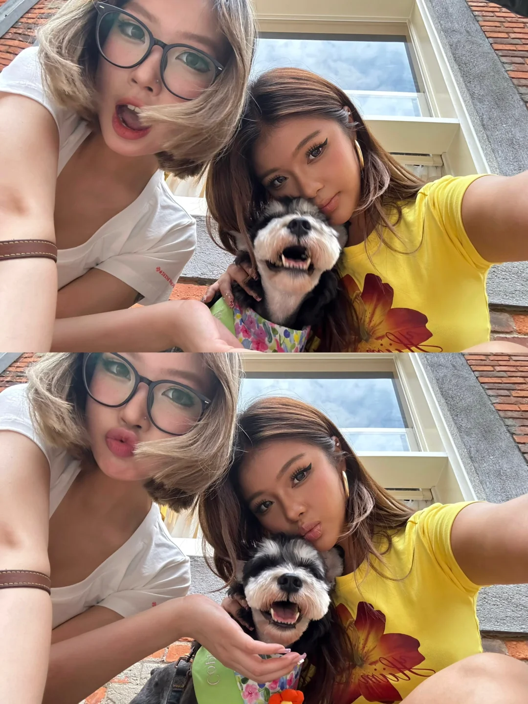漂亮小狗🐕🌼