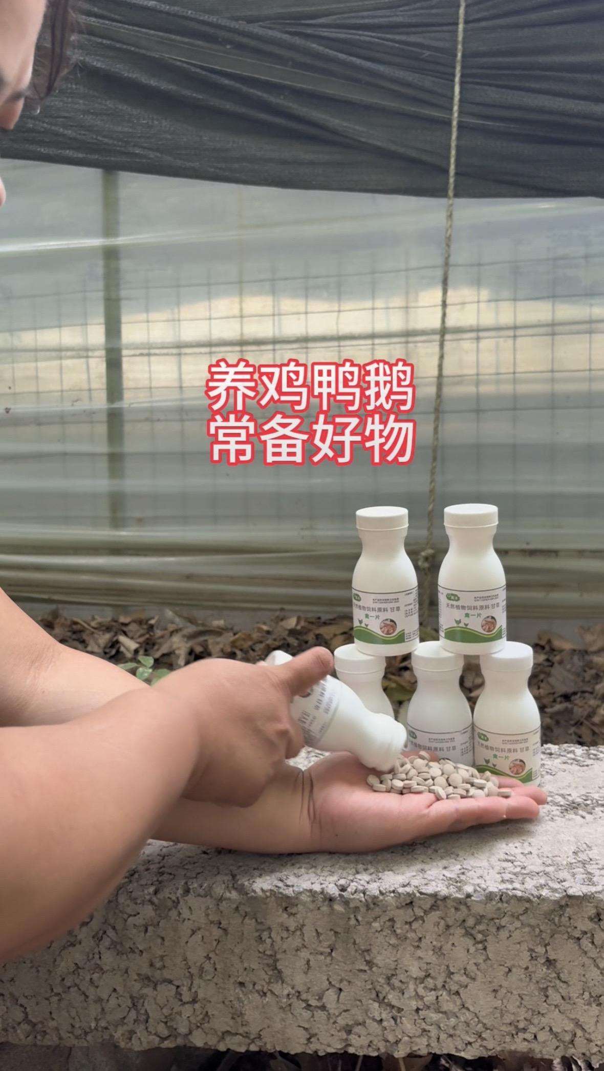 养殖 鸡鸭鹅兔鱼虾猪马牛羊 养殖户 养殖场专用