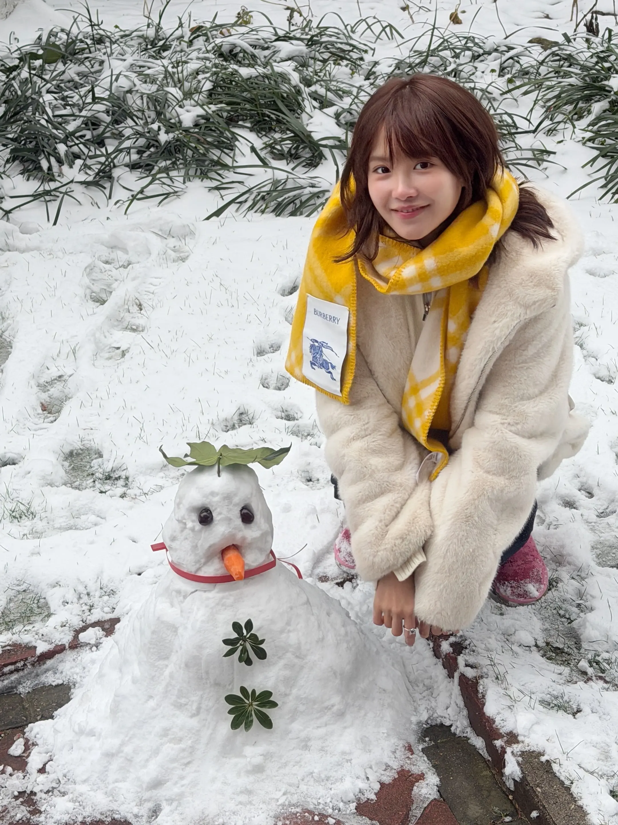 南京下雪真的很美。