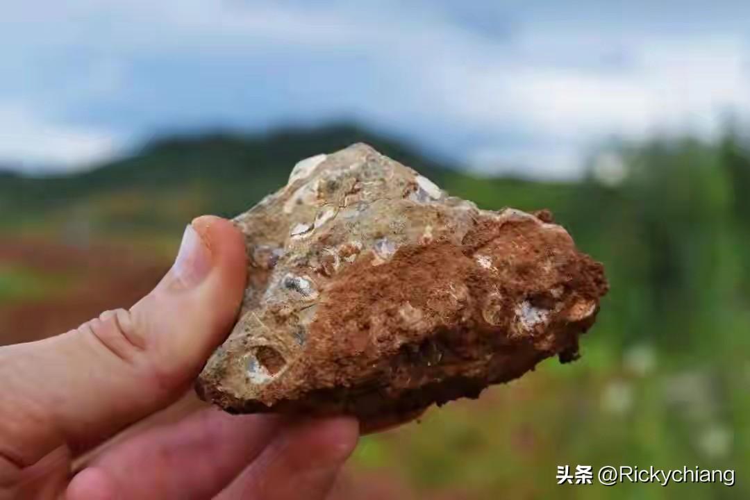 G7特朗普带着西方国家刚刚定下“五年内将对华稀土依赖降至60%”的小目标，中国反
