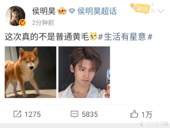 侯明昊这次真的不是普通黄毛 本来以为是常规染发，结果侯明昊把黄毛穿出了时尚大片既