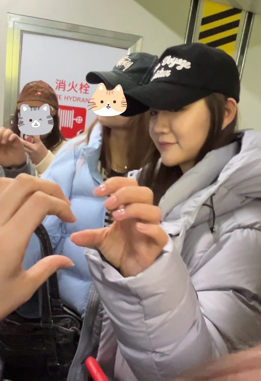 你问我见到陈梦有多幸福如下👇  专栏 · 陈梦专属