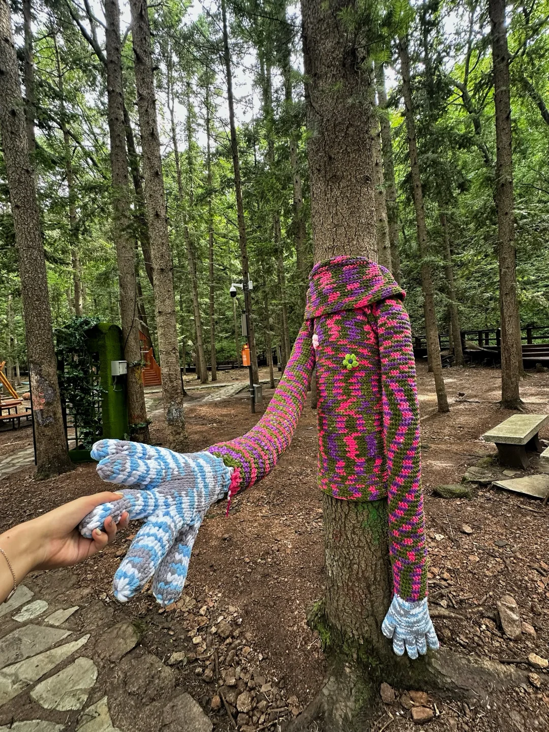 千山爬山太有趣啦😎超出片的野餐园