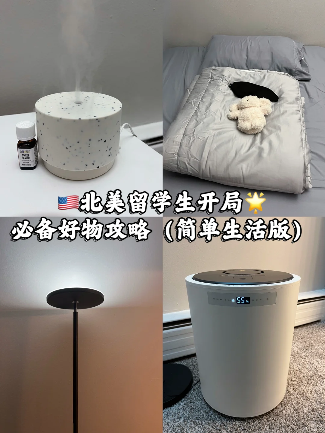 🇺🇸🇨🇦北美留学生满分开局｜一起置办好物