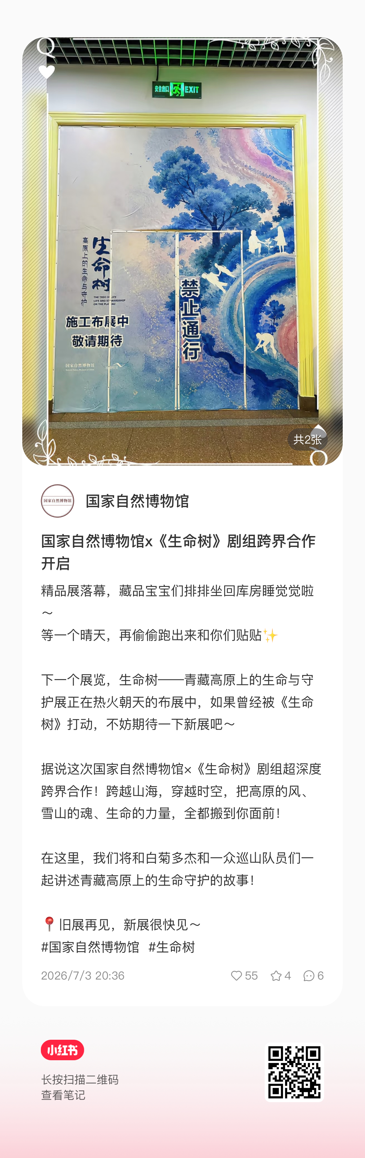 这次是官方官宣了国家自然博物馆✖️生命树