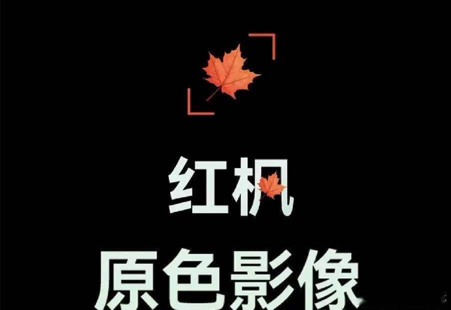 Nova14系列的工程机方案还真有红枫镜头啊，看样子华子是真的要下决心提升中端机