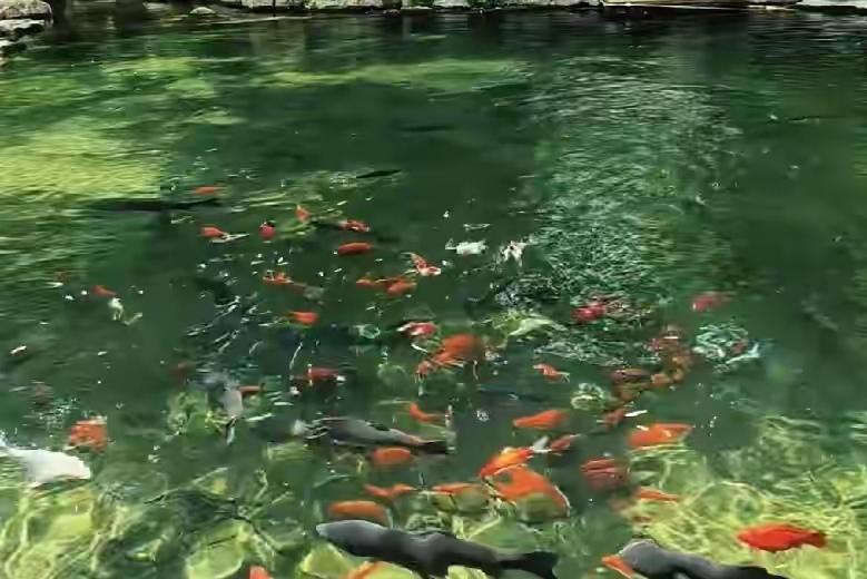 名声这碗饭，端起来靠运气，捧住了靠修养，台上光芒万丈，台下更该谨言慎行。这话太对