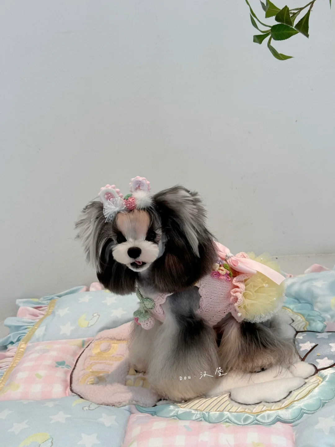 这么可爱当然是男孩子呀