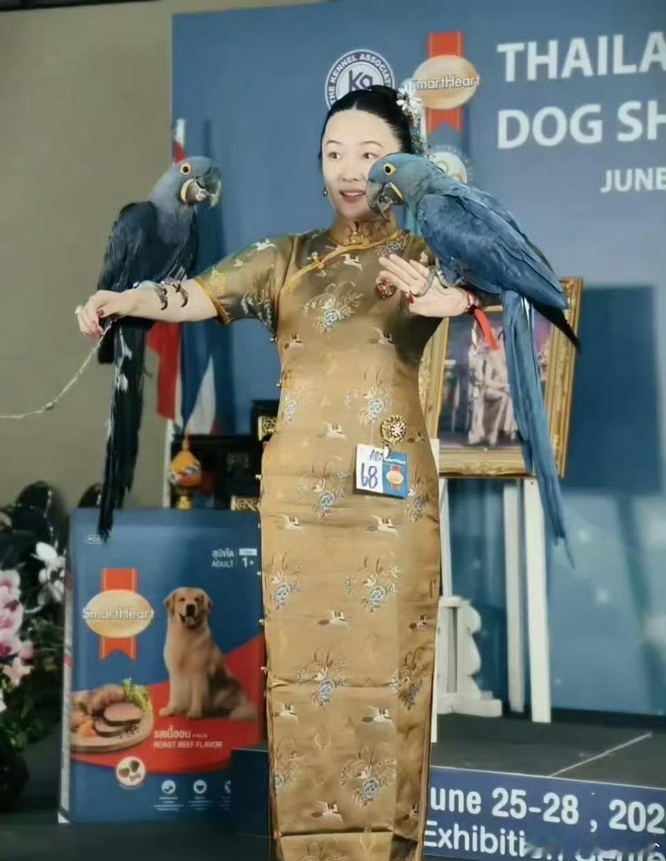 解锁狗鸟双冠军成就，霍思燕凭借专业养护，把爱好做成亮眼的成绩，太厉害了霍思燕养什