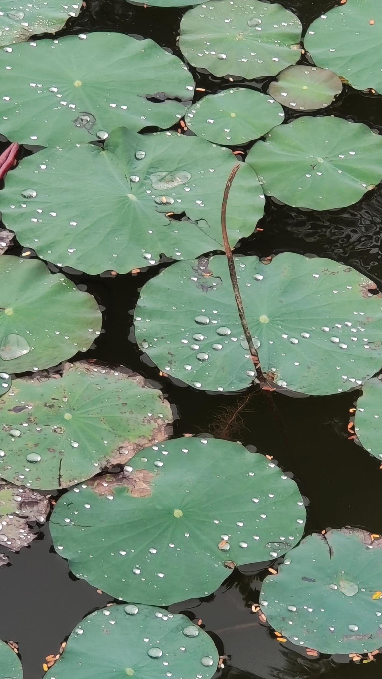 人与人之间的缘分，从不是单一的索取或单方面的付出。一段关系若只靠一个人硬撑，再热