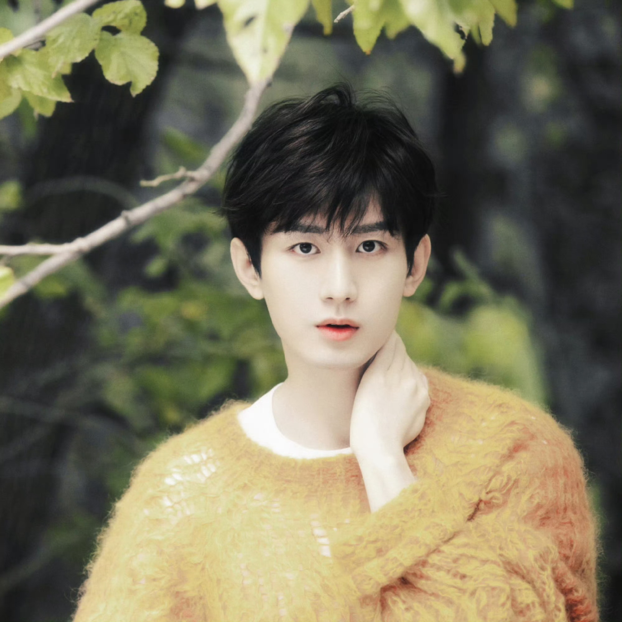 ——⁽⁽ଘεïз CHENG YI⁵²º εïзଓ⁾⁾——成毅两京十五日cy成毅