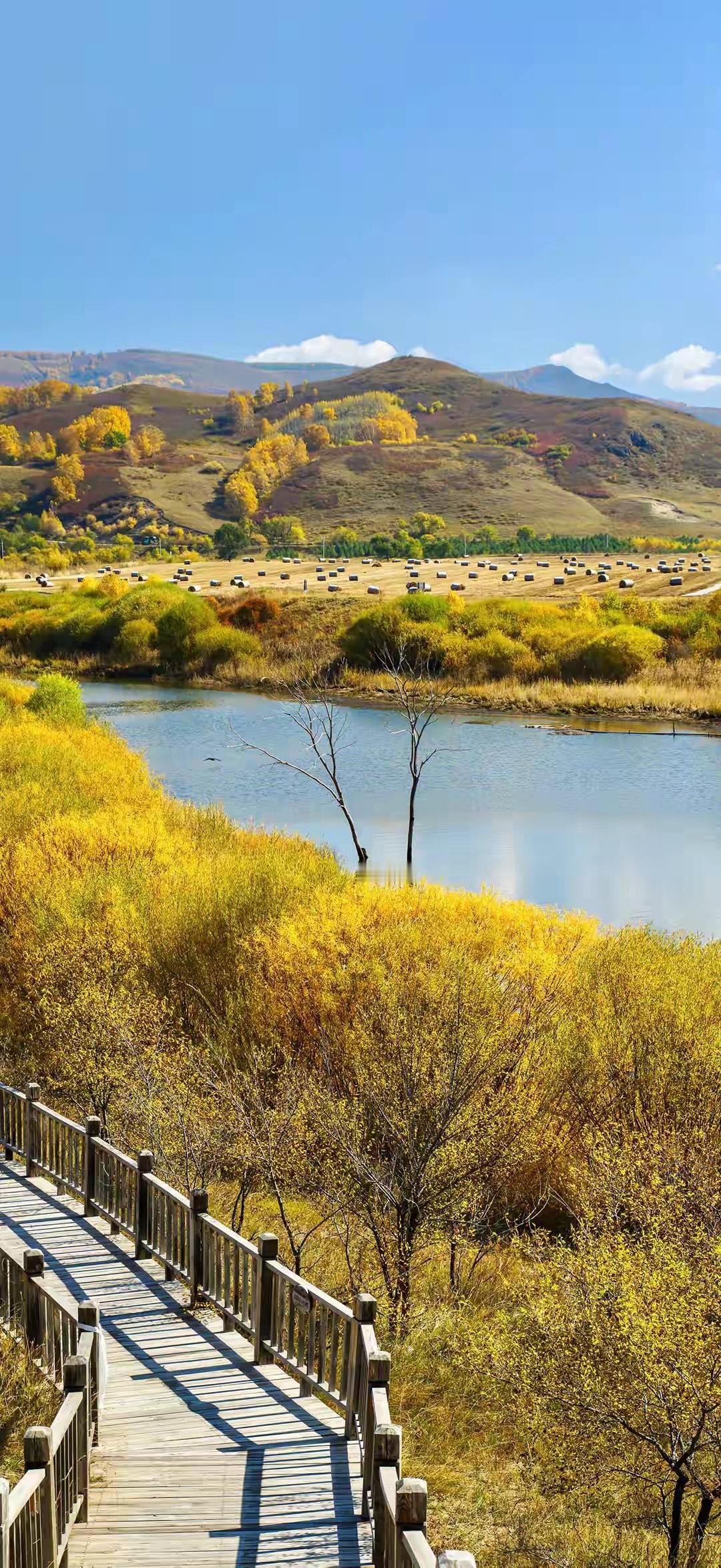 在江湖的悠悠岁月里，有一座神秘的剑庄，名为“凌云剑庄”。庄主萧逸风，乃江湖中赫赫