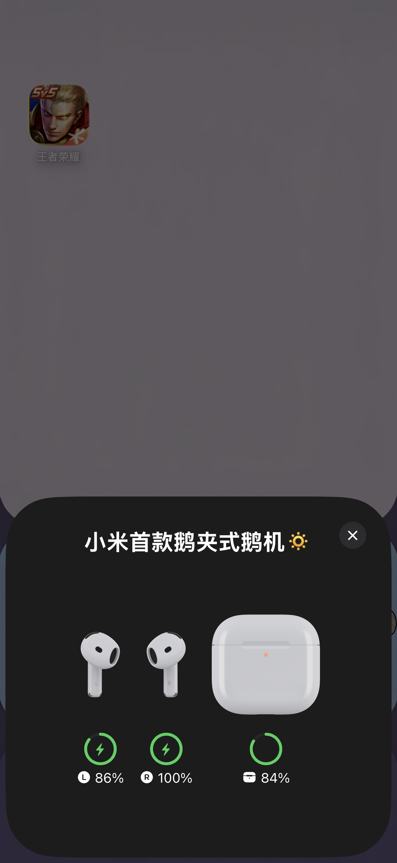 我鹅机的新名字