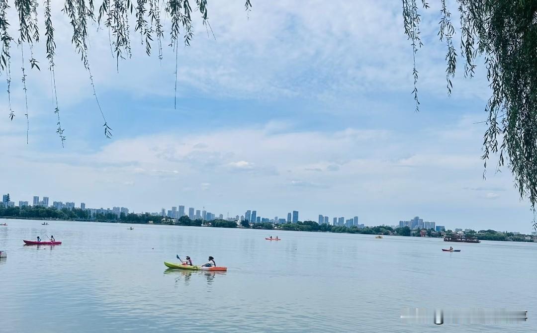 [锦鲤到来]稻盛和夫的一句话：渔夫出海，本不知鱼群所在，却依旧毅然扬帆前行，只因