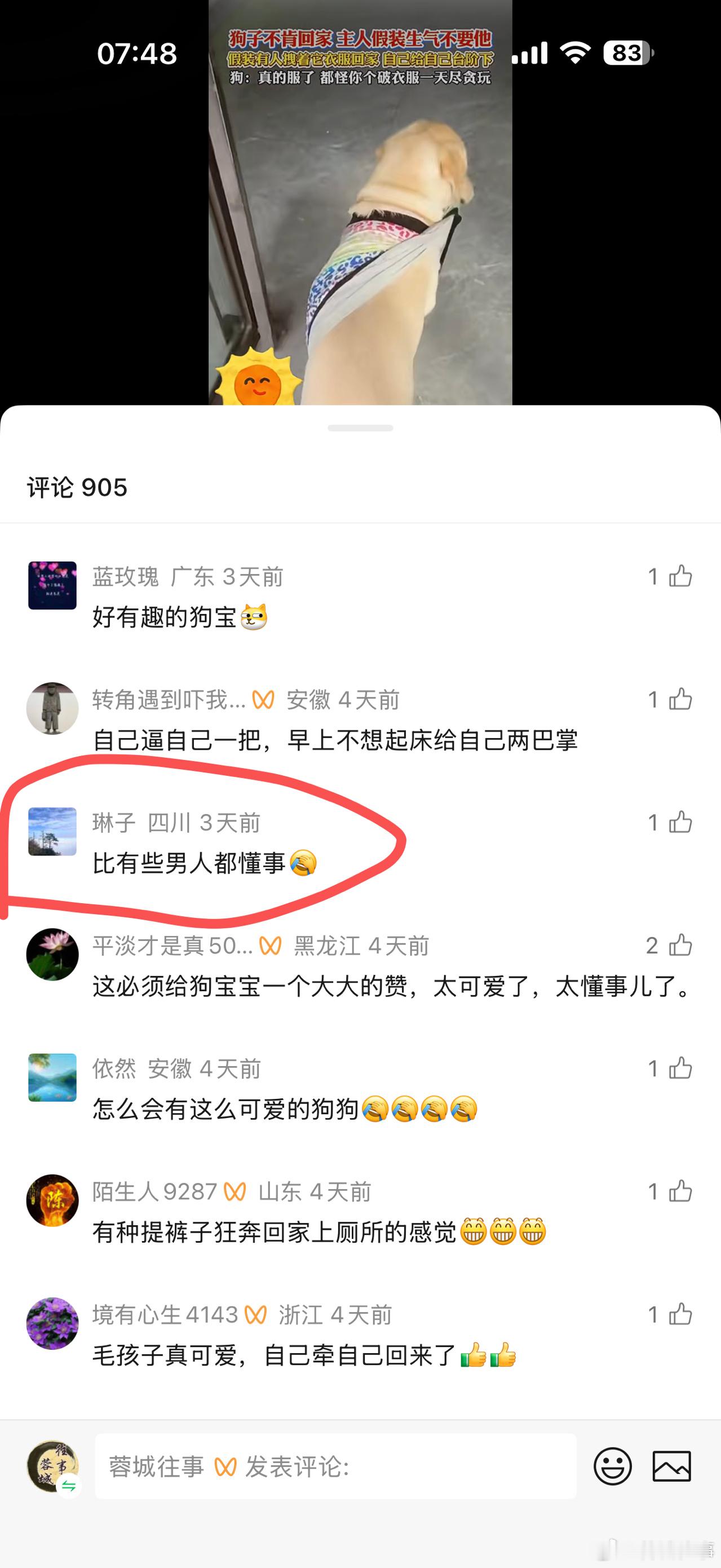 一个是宣传部账号，一个是省级媒体，到现在了，还在“宣传”遛狗不牵绳。再看看底下评