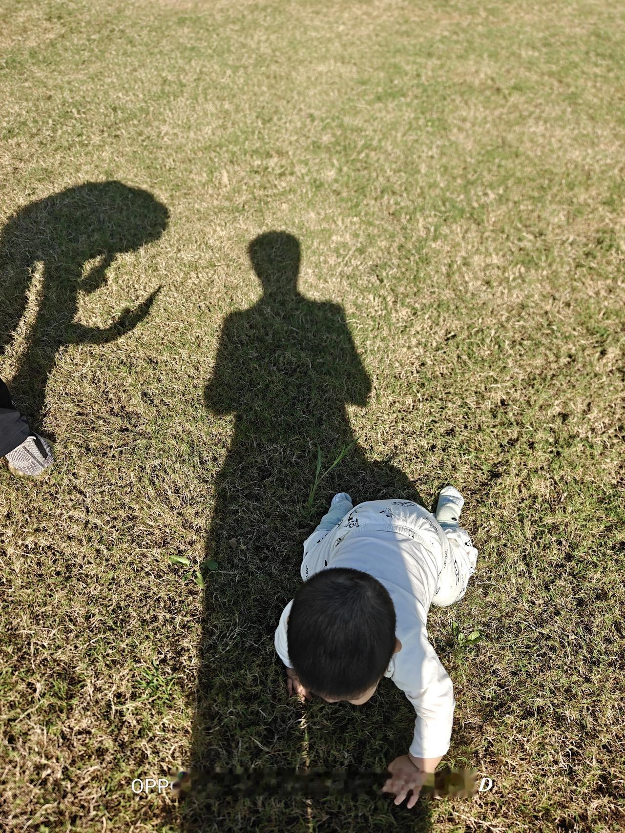 成人眼里的世界真实而虚幻。

幼儿眼中的世界有趣而生动。看雨后初晴的早晨，草坪爬