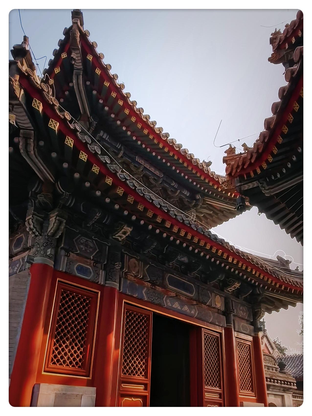 十月北京末，万寿古寺靓