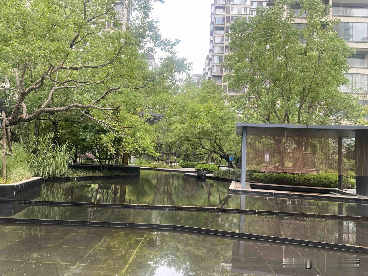 真心话茶局静谧的庭院，绿意盎然，水石相映，心旷神怡。