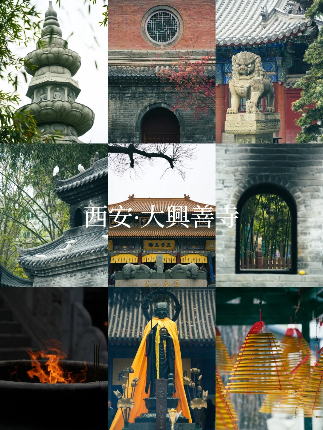 西安·大兴善寺