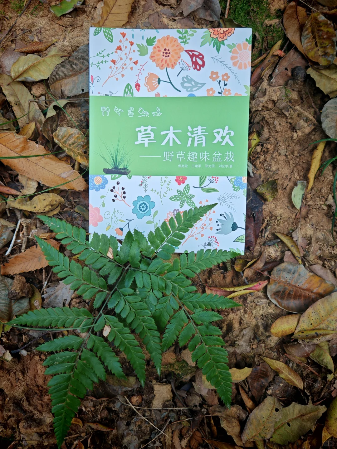 带着书去大自然