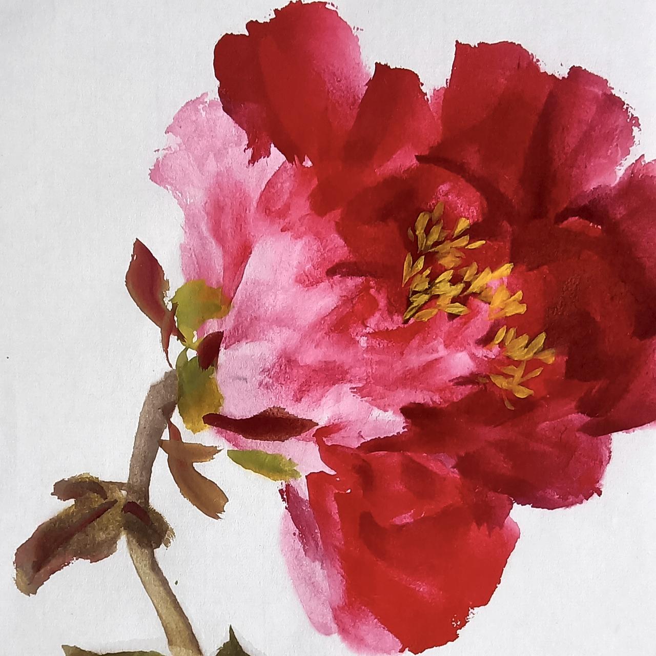 小写意牡丹花