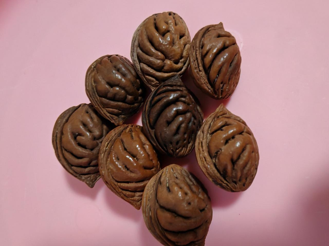 花纹特别好看！
这几枚桃核是我上周六游花果山时捡的。
在花果山上休息时发现身边有