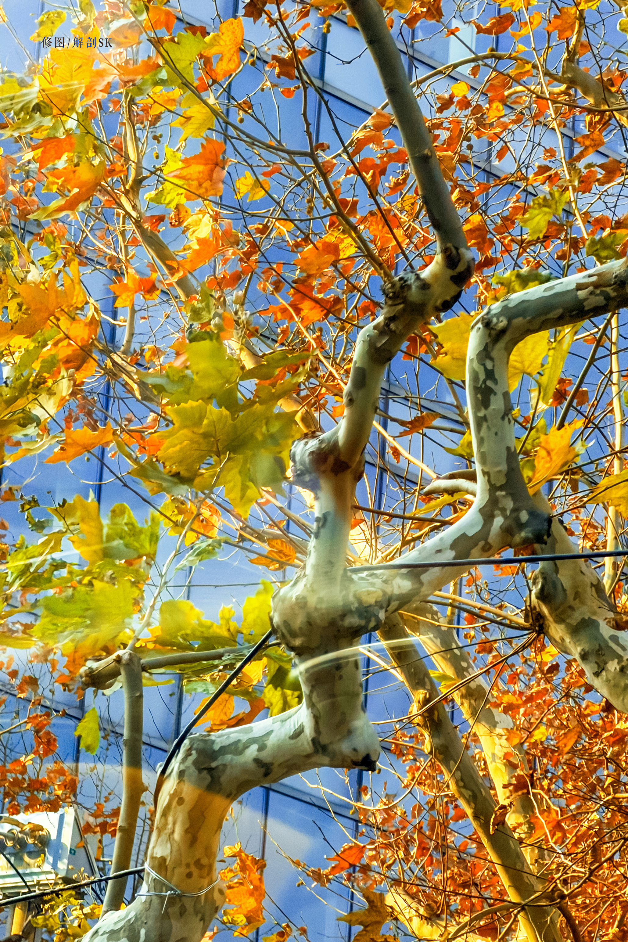 🌸自拍爽吃～ 共享日常🧩 🎞️｜田栩宁 