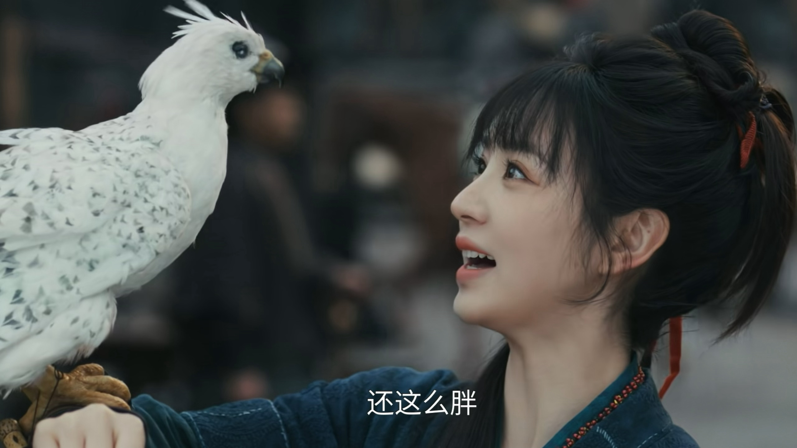 海东青：宝子俩月不见能说句好话不。。。。 