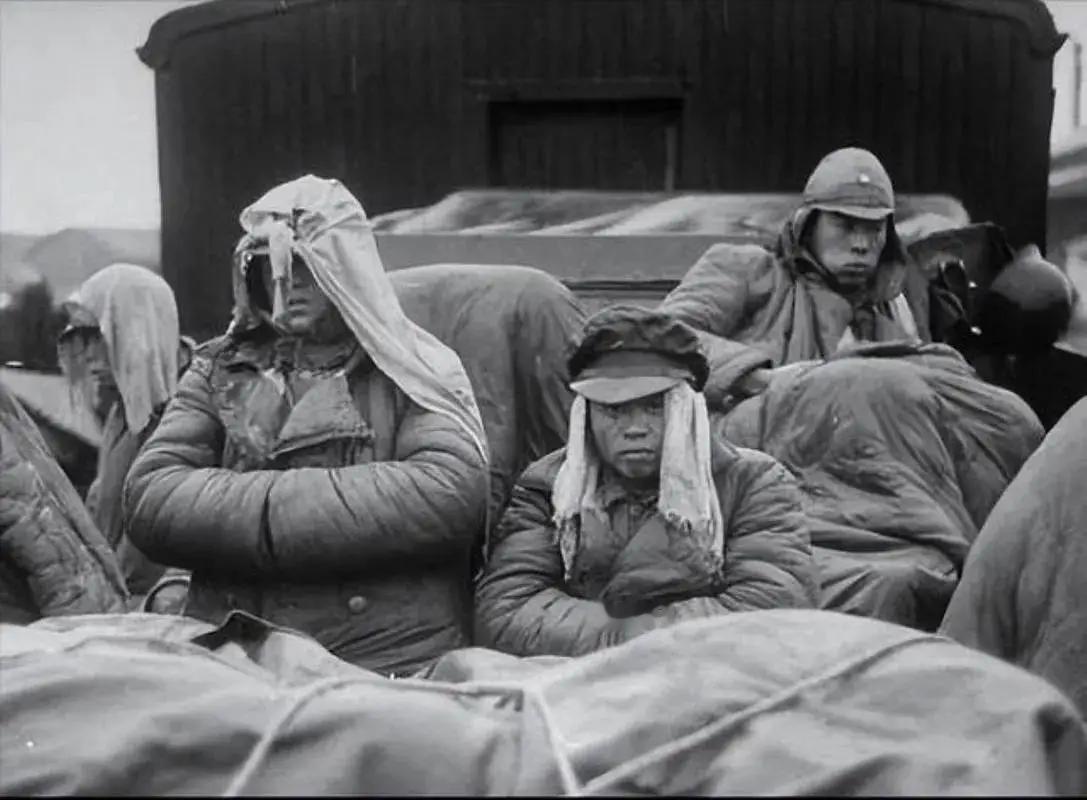 台湾作家龙应台在《大江大海1949》里讲了一个挺有意思的小故事。

在淮海战役期