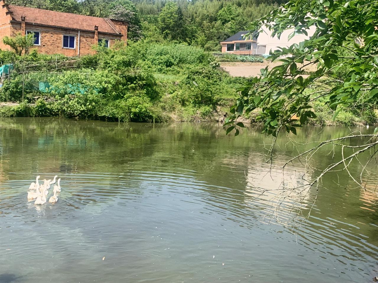 生物学专家说：
“一个人的性欲，比寿命短几年。一个人的食欲，比寿命短几天。一个人
