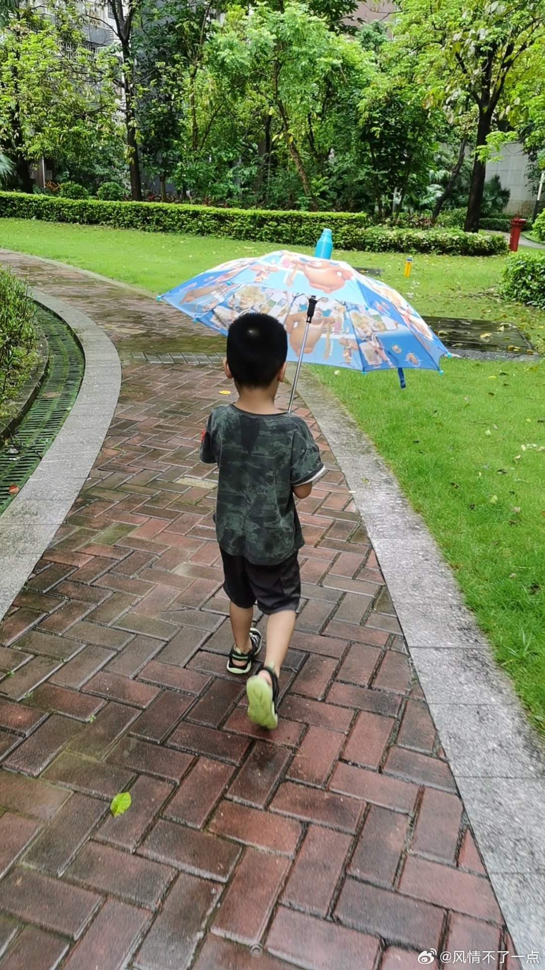 怎么有下不完的雨呢，早上醒来就一直下，没有要停的意思 