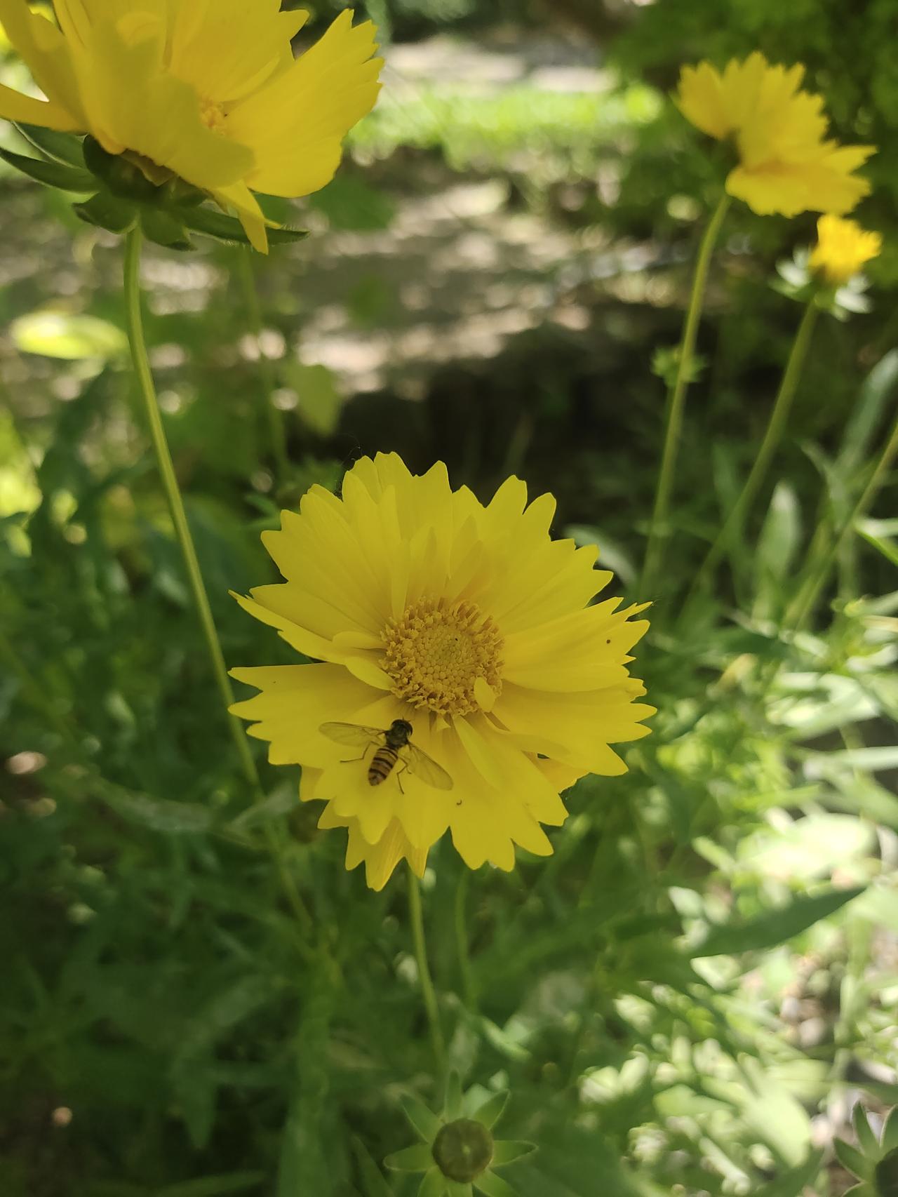 邻居婶子过生日，她明确给闺女表示既不要牛奶、生日蛋糕、水果，也不要钱！这可把她闺
