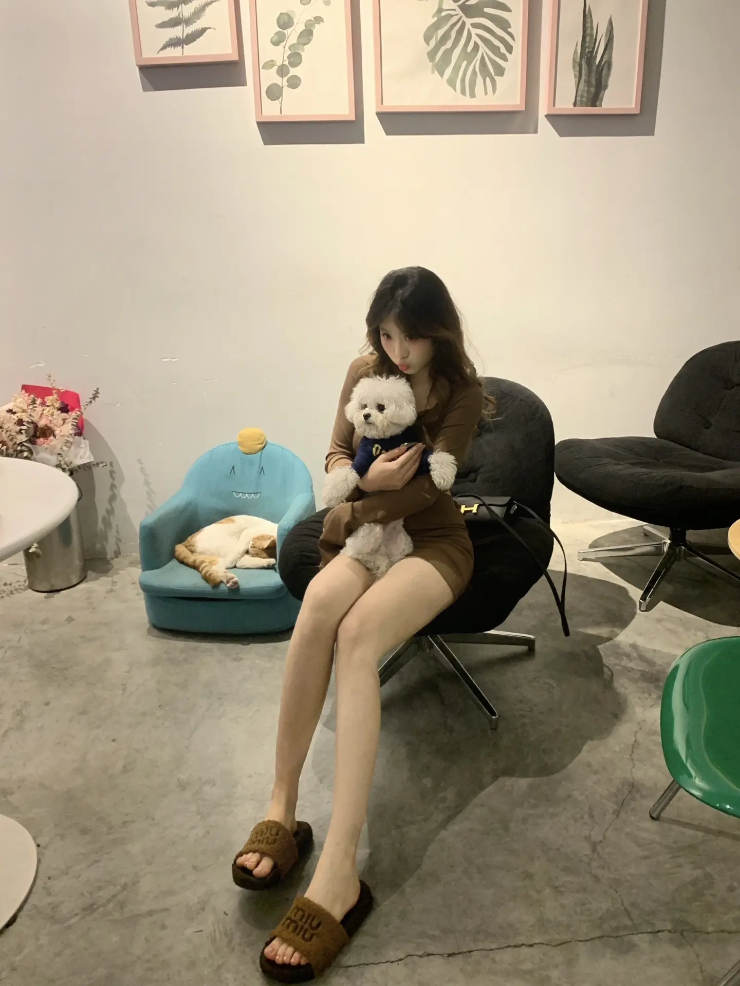 小狗笨笨的 但是小狗爱你