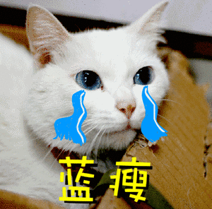 网友对春节档电影票价容忍度  我家这边真的挺贵但我没办法，过年感受氛围，家里的亲