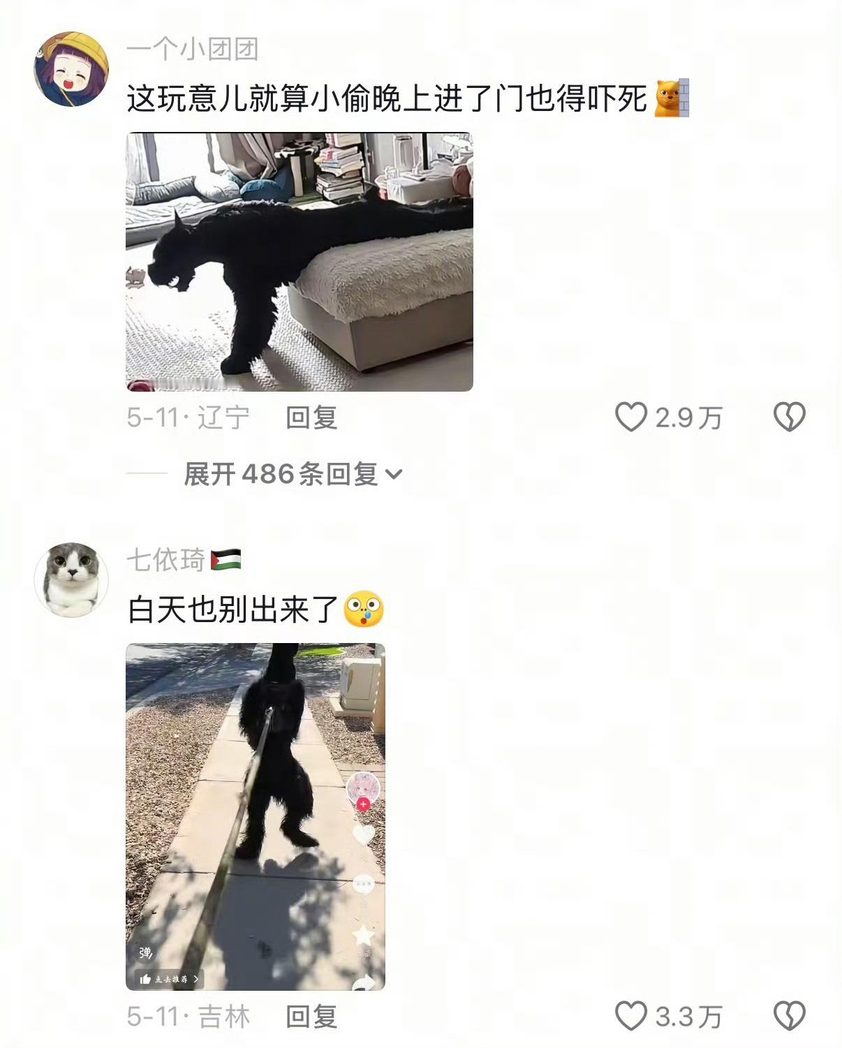 以防你没见过遛大型犬黑天白天内心不强大了看了都受不了现在看着直立的狗，有节奏有韵