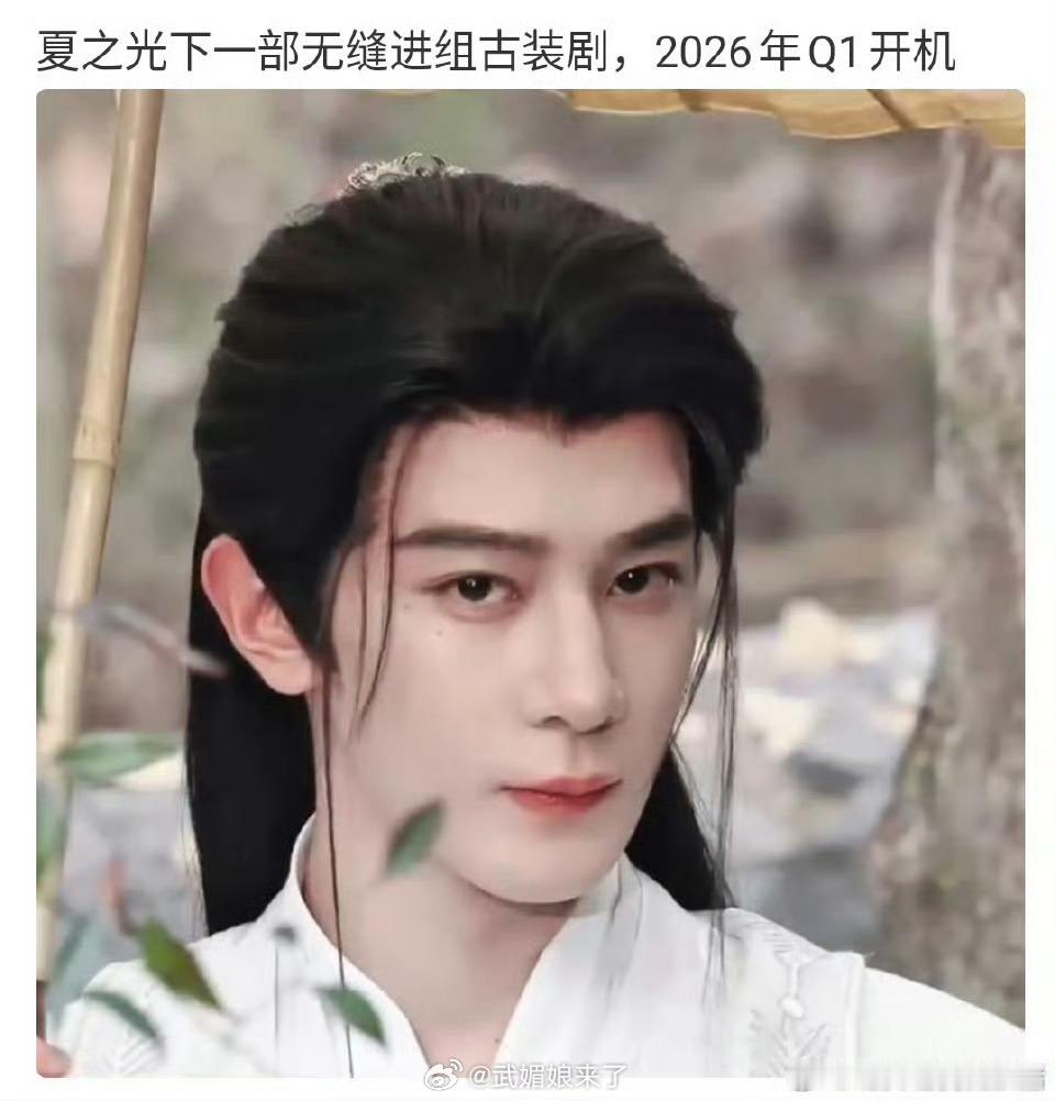 吃🍉网传夏之光下部古装剧 2026年Q1开机期待夏之光部部无缝进组