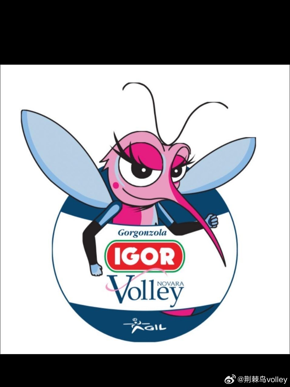 诺瓦拉俱乐部主席表示：