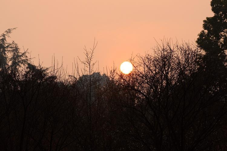 ‌‌立‌ 日初升冻土消，
‌春‌ 来草色渐迢迢。
‌新‌ 晴照野花初绽，
‌气‌