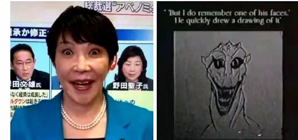 沈逸教授，因为描述了日本新首相高市早苗的外貌，说其长的一张驴脸而且还像天书奇谈里