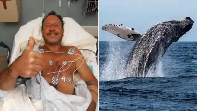 2021年，美国潜水员在海底捕捉龙虾，却被15米长的坐头鲸整个吞下，就在这危急时