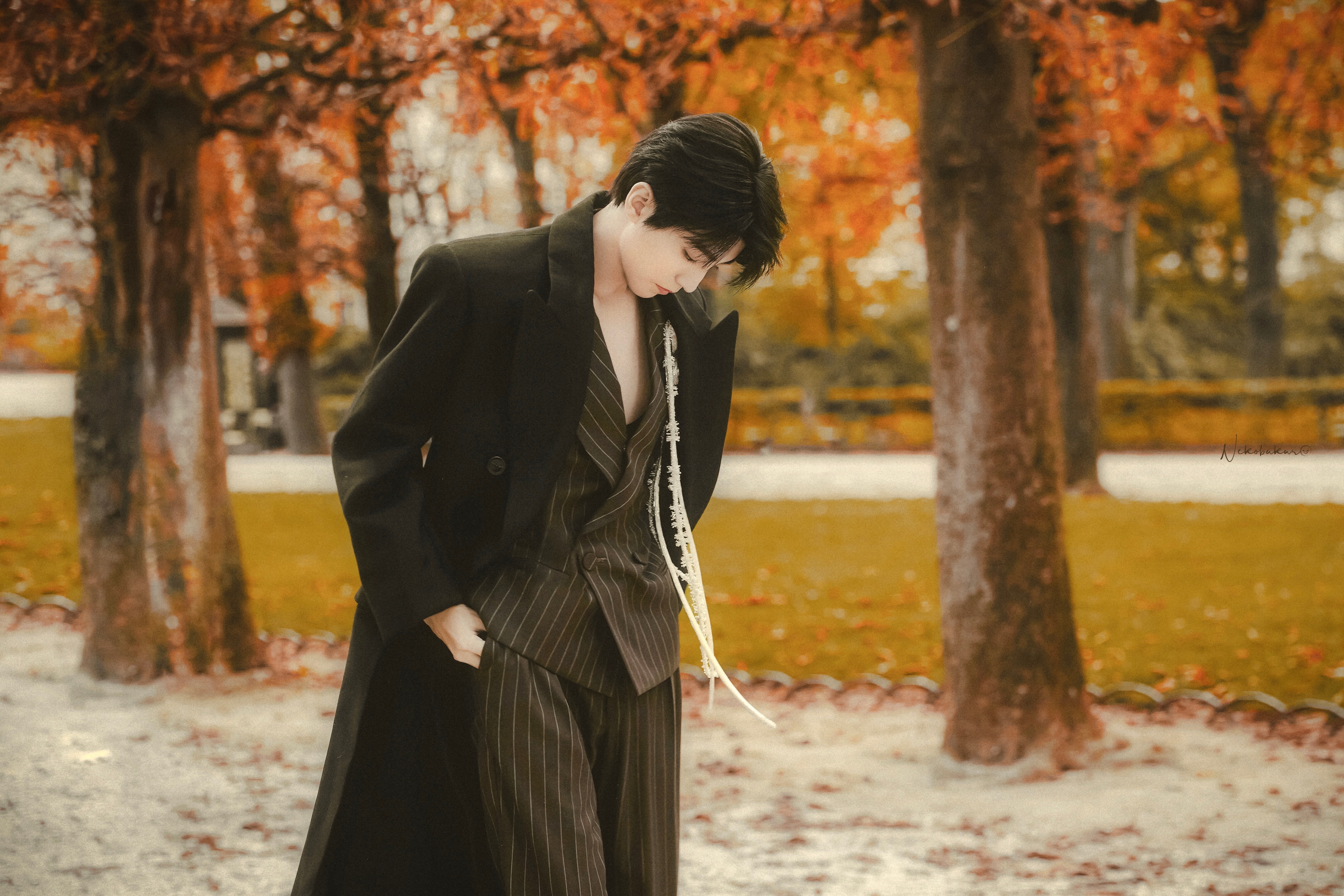 🍁🍂 ​​​