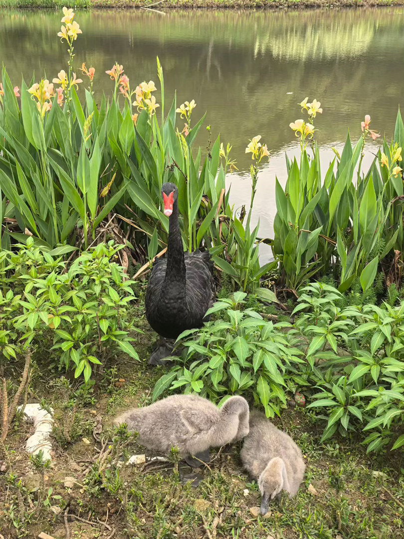 时间终会教会我们，万事藏于心，而不表于情。 