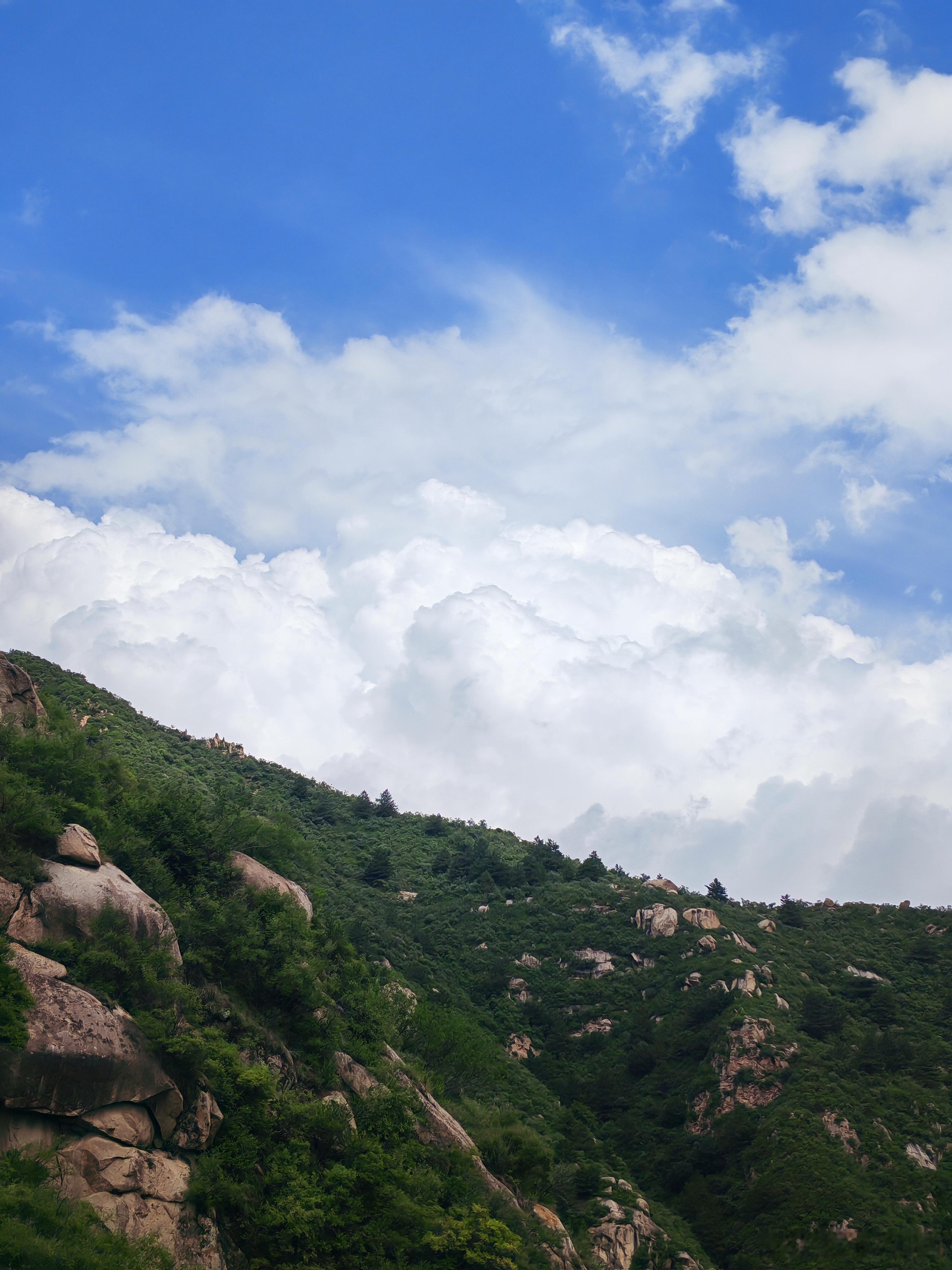 人一旦开悟了，仿佛时间都会变慢！趁活着，做点自己喜欢做的！