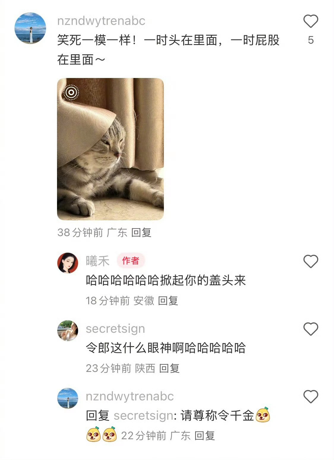 金鹰奖提名名单当你的小猫嫌空调冷室外又热的时候 ​​​