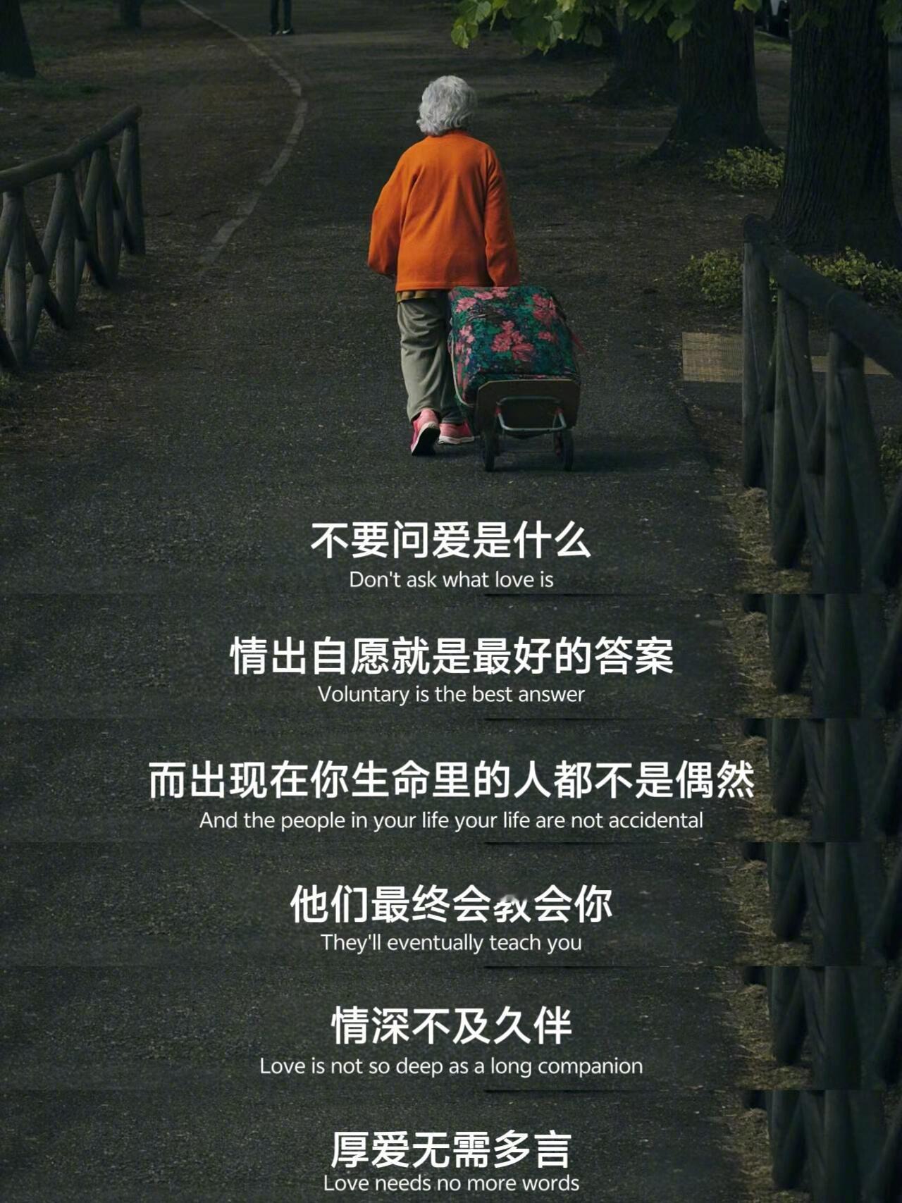 你要允许你爱的人不爱你你要允许你的工作为难你要允许身后有人算计你人生感悟 ​​​
