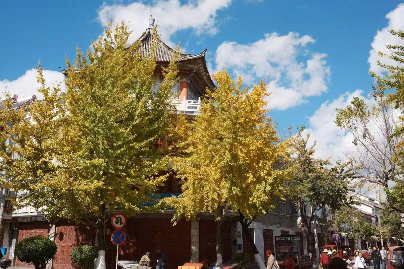 【大寒伊始 我国多地暖热将达鼎盛  ，东北多地最高温比常年同期偏高13℃以上】近
