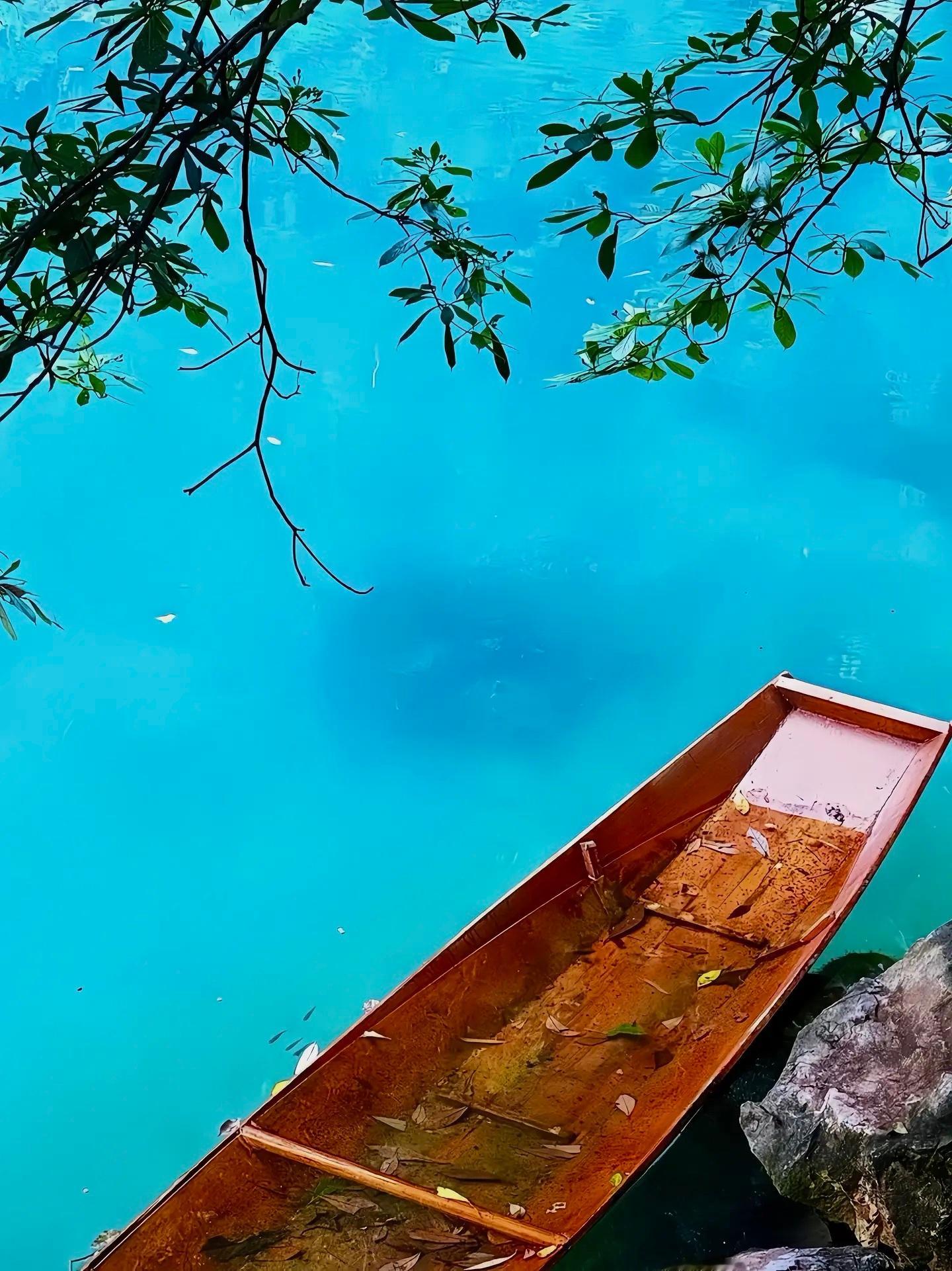 什么都是短暂的 只有失去和怀念才是漫长的焕新生活计划