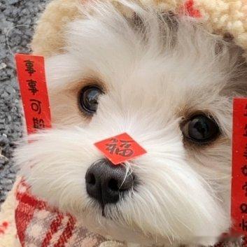 每日一善‎阳光‎信用每日一善善良不是刻意做给别人看的，是下雨天主动帮邻居收衣服，