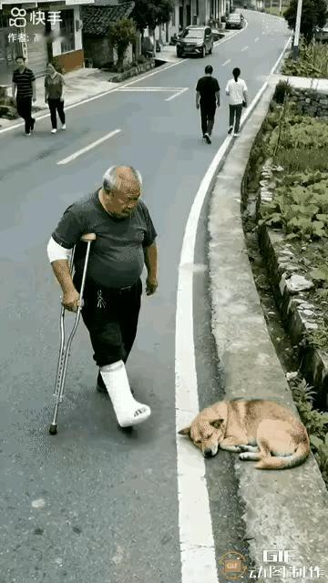 宠狗没拴绳无人管，拄拐老人好心把狗撵，哪料老人人仰马翻到沟里边，奉劝无能为力人士