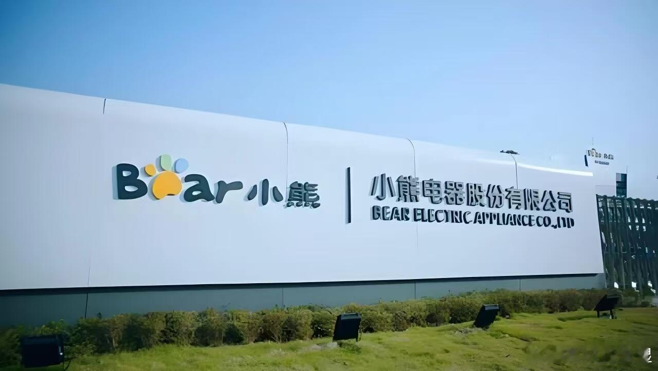 网红小家电集体吃灰了这些小家电，更多的还是年轻人在用。搬新家，租新房都会买，但是